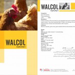 WALCOL